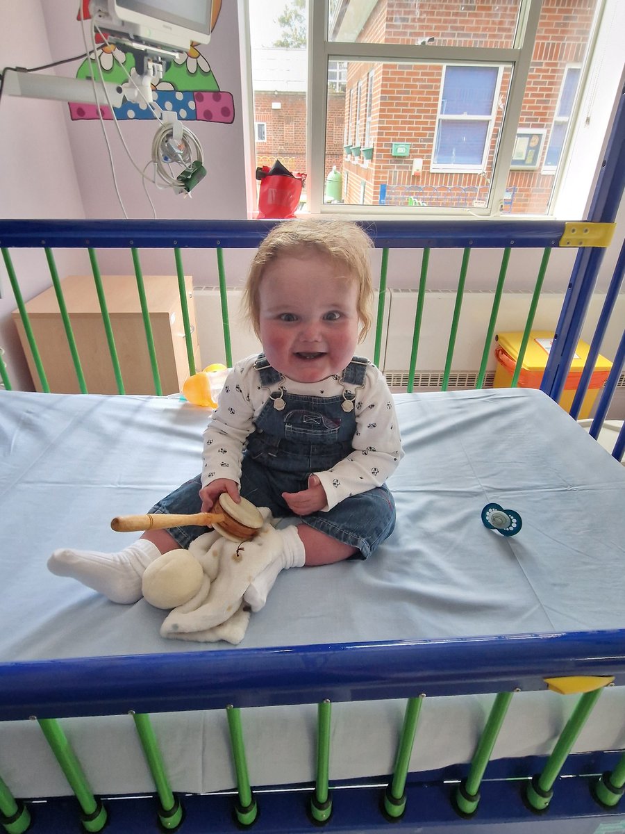 Ollie's Heart Fund 💛 tweet media