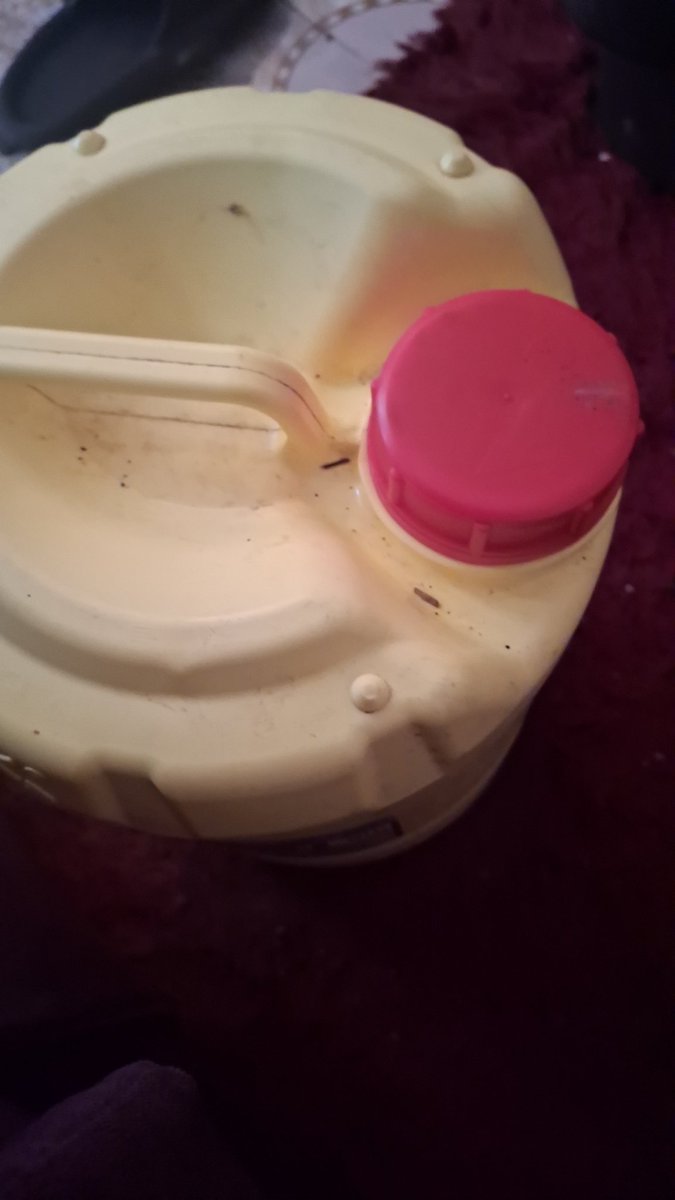 mzalendoDaimaKe's tweet image. After kufikisha miaka thate mi hamnipati habanos na quiver zenyu za matakataka,niko kejani kamtungi na mamali tu