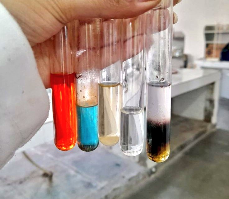 Yogitamalviya13's tweet image. Carbohydrate qualitative test.🧪
Each colour show different sugar story - from brick red to violet rings.🌈
(Benedict&apos;s | Felling&apos;s | Iodine | Molisch&apos;s | Barfoed&apos;s ) 
#Biotech #Labwork #science
