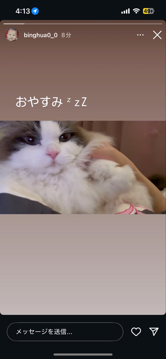 ピンク様へ♥2月中旬 ✡️パンダ🐼🌟✡️ on X