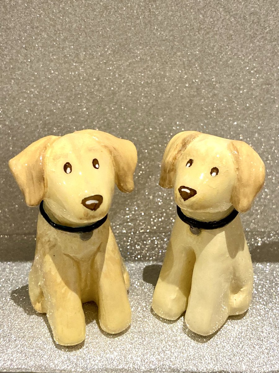 BethEgg's tweet photo. Look at these lovely Labrador magnets. Just adorable 🐾 https://t.co/Sriu5jzPYe