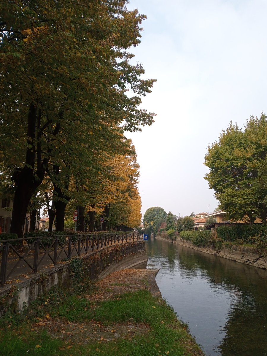 korsivobike's tweet photo. Bellissimo il naviglio in autunno calmo e colorato #cyclinglife #cycling #senzabicinonsostare #stradezitte #bicidistrada #biciacciaio #bici #inlombardia #inzago #steelvintagebikes #stradesenzasenso #navigliodellamartesana #ciocc https://t.co/kBdePuEPAL