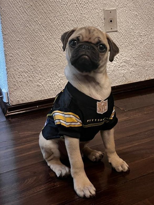 LPH | Sake tweet media