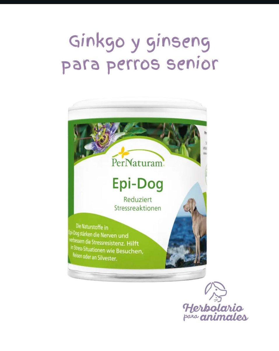 ¿Tu perro se ha hecho mayor y muestra signos de desorientación? Este suplemento natural con ginkgo y ginseng puede aliviarlos: instagram.com/p/DPlxmiajO-p/…