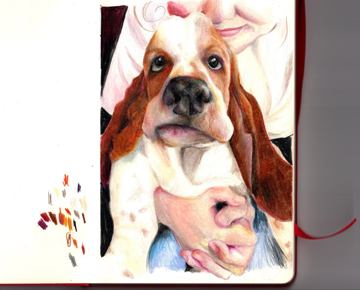 tinygxrilla's tweet image. 