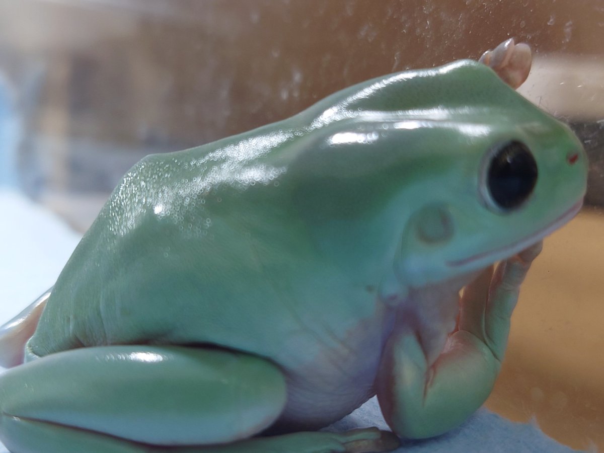 ﾝﾝﾝｰ？？？