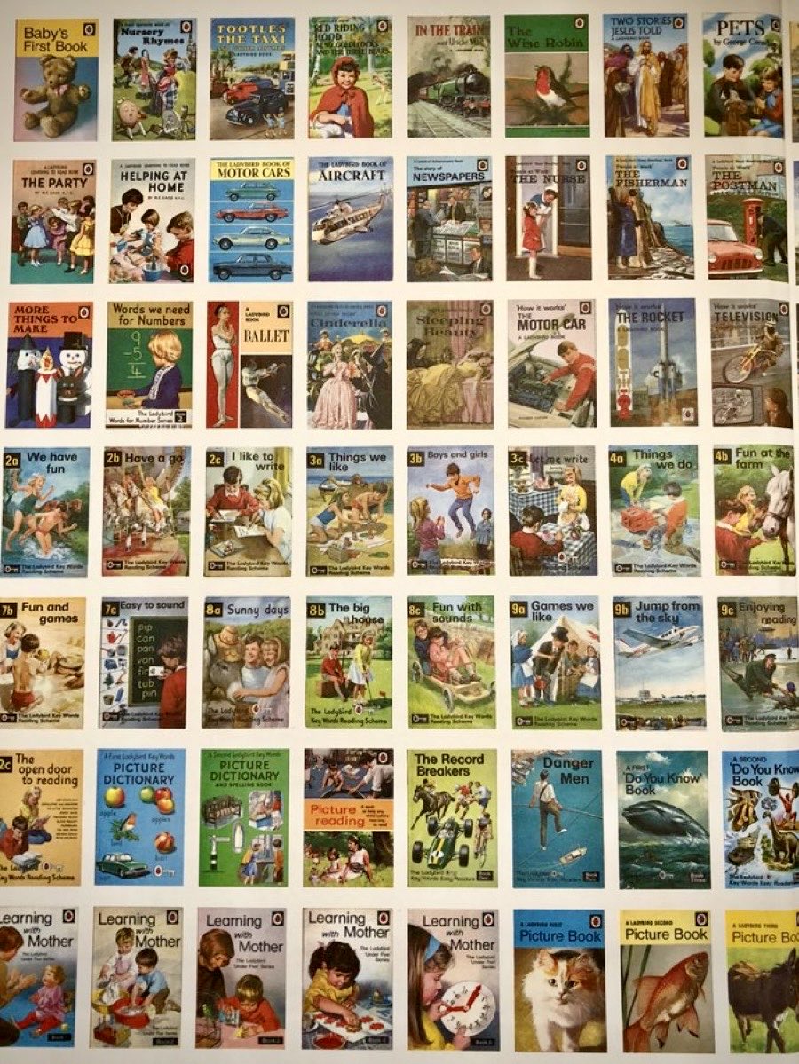 Ladybird book endpapers design. 
From the 2007 book published by Penguin called ‘Boys and Girls’