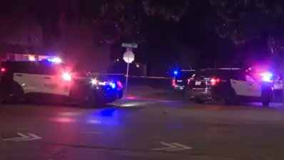 Micah Erfan tweet media