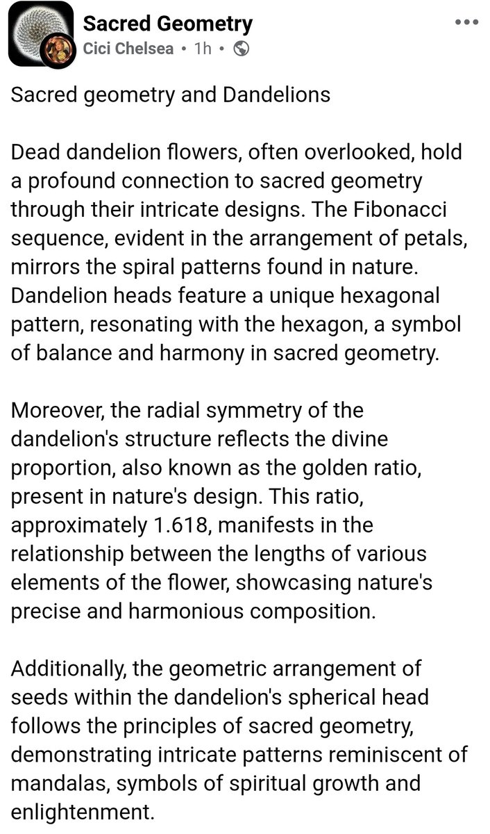 creating8peace's tweet image. Sacred Geometry ~
The Fibonacci Sequence in Dandelions!