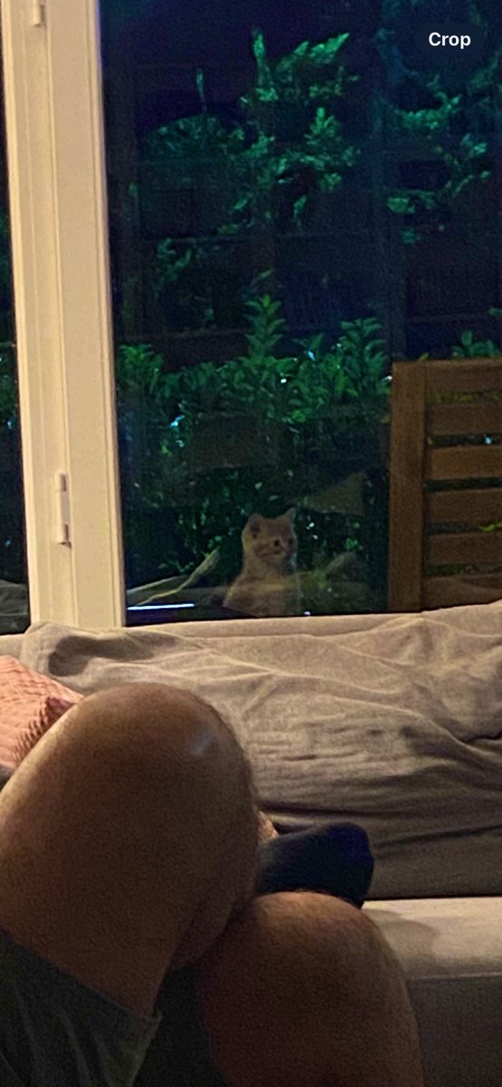 DekioyleSimone's tweet image. Fifa oyunun tek hastası evdeki erkek bireyler değilmiş.