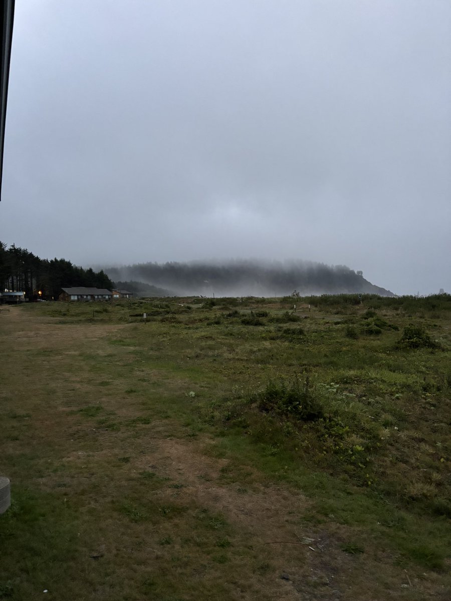 фасоль tweet media