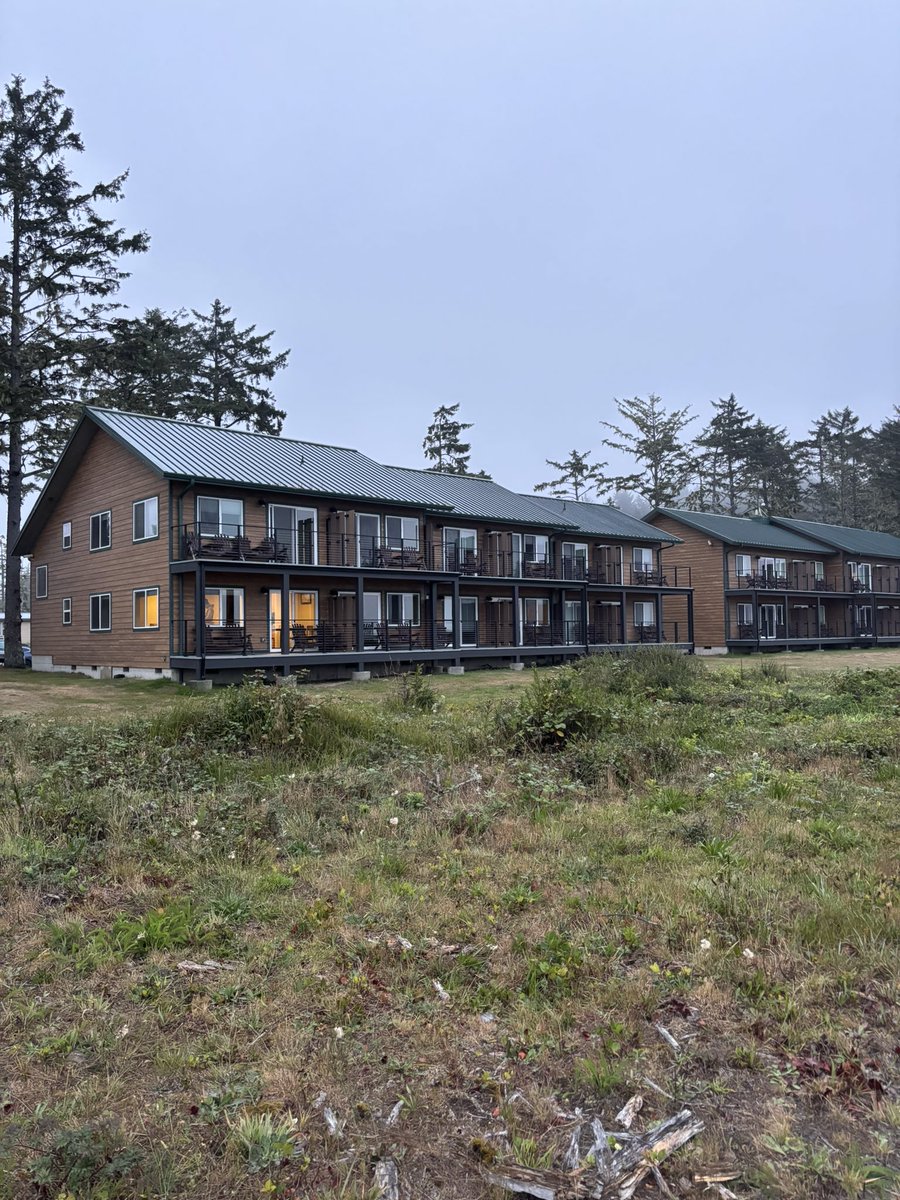 фасоль tweet media