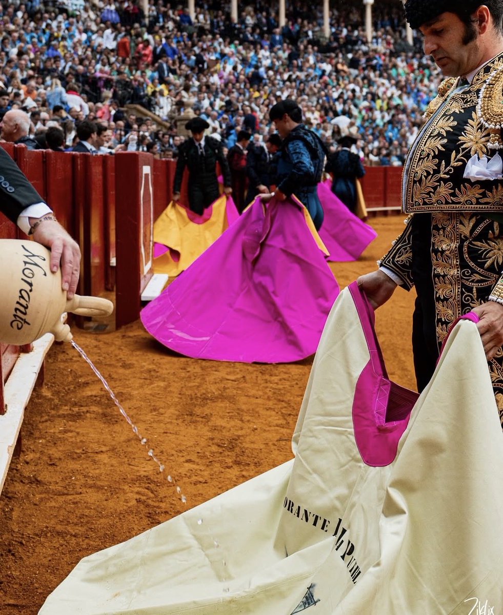 Magicalspain's tweet photo. «I saw Morante» https://t.co/5woKMF6uGw
