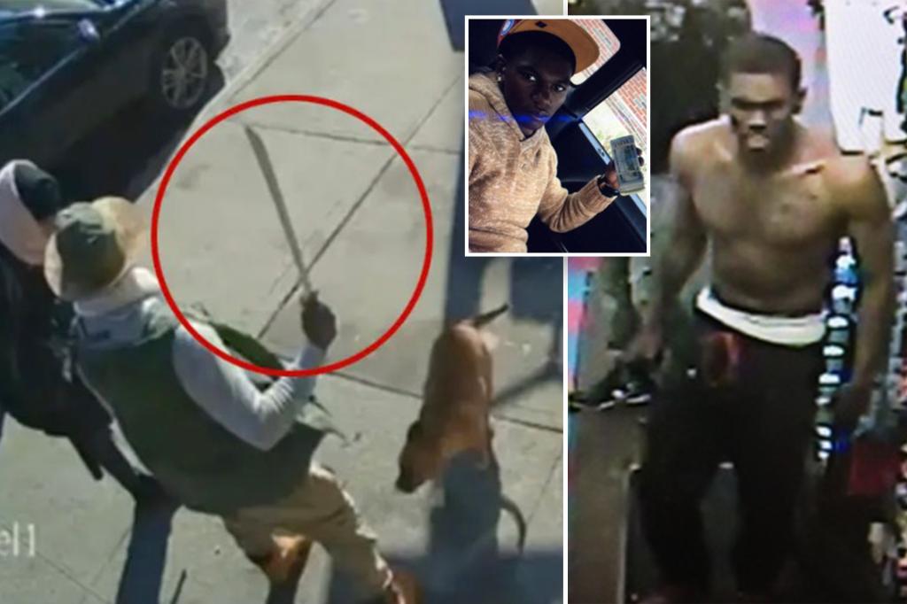 nypost's tweet image. NYC machete attack suspect has 45 prior arrests — and was just charged with hit and run that left cancer survivor dead trib.al/FG4mOnn
