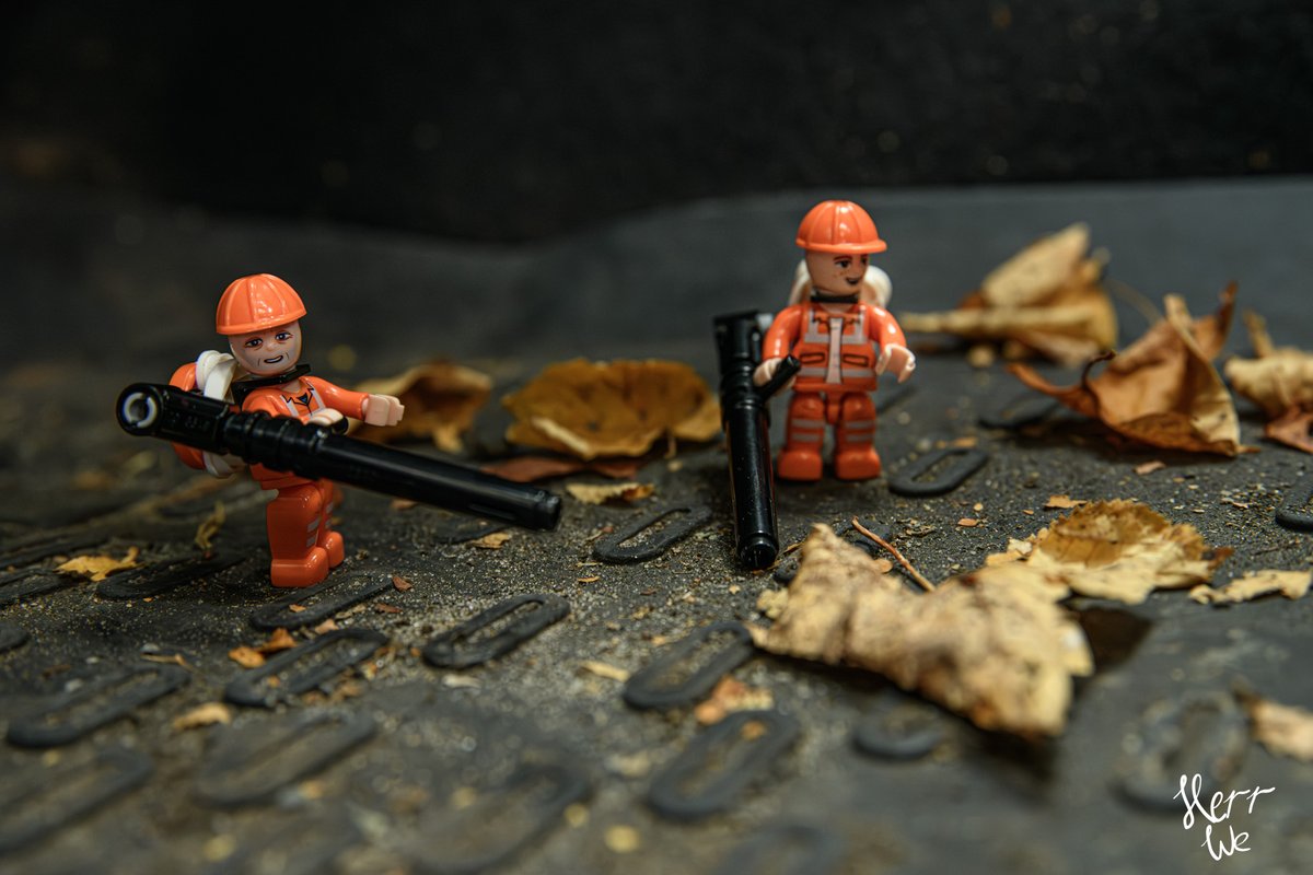 herr_we's tweet photo. Die Laubbläser waren unterwegs...
#Photography #notLEGO https://t.co/ikueQ470PG