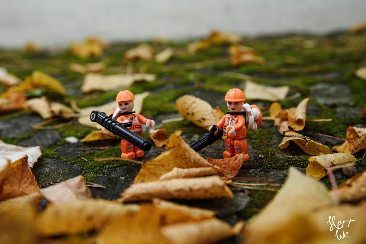 herr_we's tweet photo. Die Laubbläser waren unterwegs...
#Photography #notLEGO https://t.co/ikueQ470PG