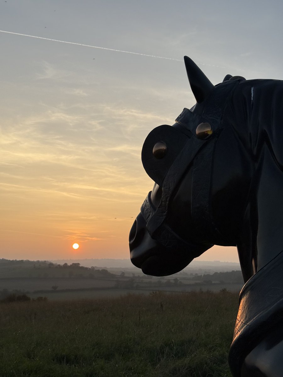 Lynette Murphy tweet media