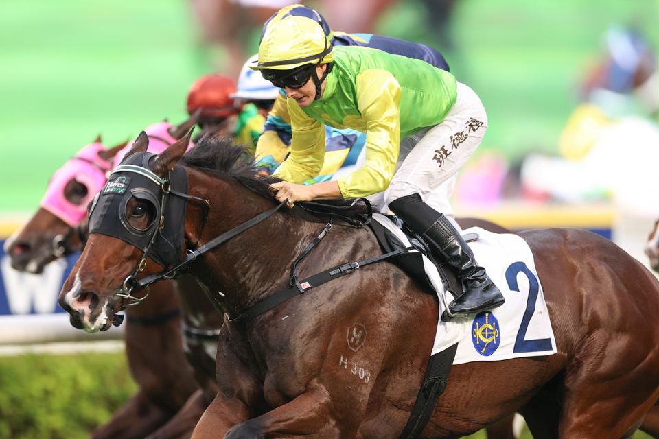 ThoroughbredNEWS tweet media