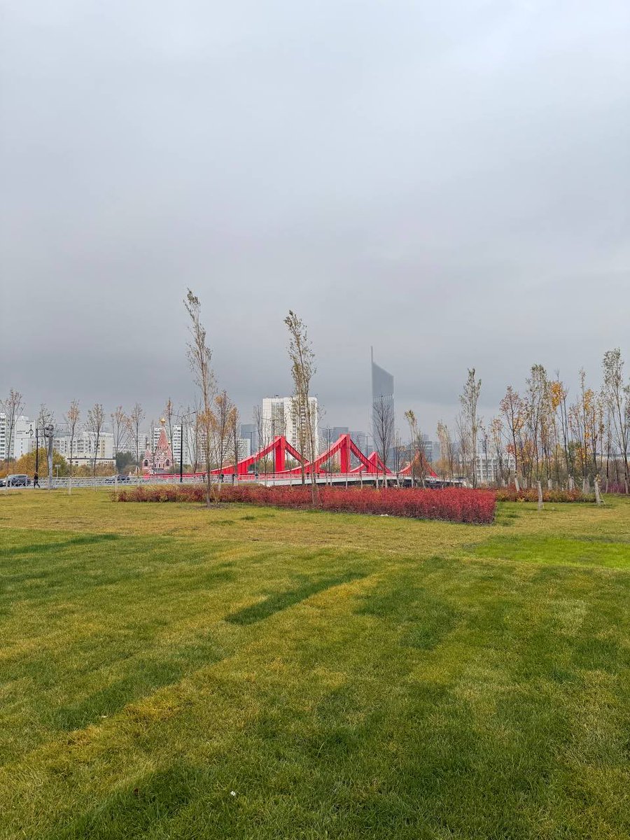 пока нет tweet media