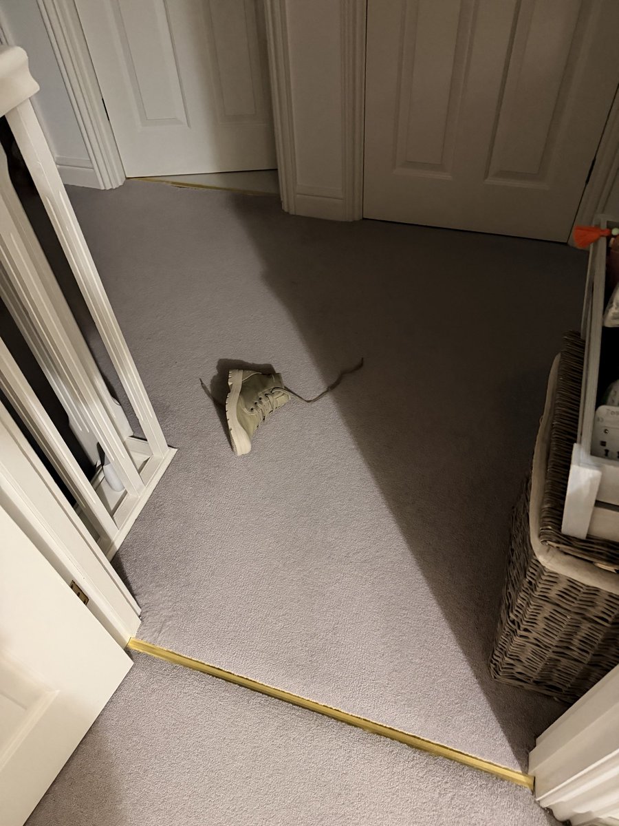 I went hunting in the night. I killed a boot. I took it from a case and pulled it across the hall where I wrestled it to a stop. Perfect placement to trip Mumski up! 😽
