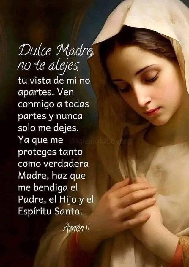 sgargbe's tweet image. #JesúsEnTiConfío
#NuestraSeñoraDelPilar
#RuegaPorNosotros 🙏🏻🌹