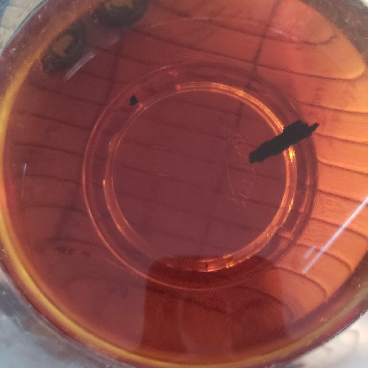 EngineerdSpirit's tweet image. When you age a spirit in a new oak barrel, it&apos;s common for the spirit to contain flakes of charred wood from the barrel. This is why big distilleries use large screens over their totes or tanks  when they empty a barrel, but here we make do with a regular old kitchen strainer.