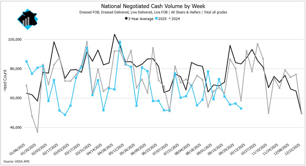 Recently, the volume of fed cattle purchased via the negotiated methods dropped below 53,000. Seasonally, it is common for higher volume to trade in the coming weeks. Are supplies large enough to approach last year's volume in late October or early November?