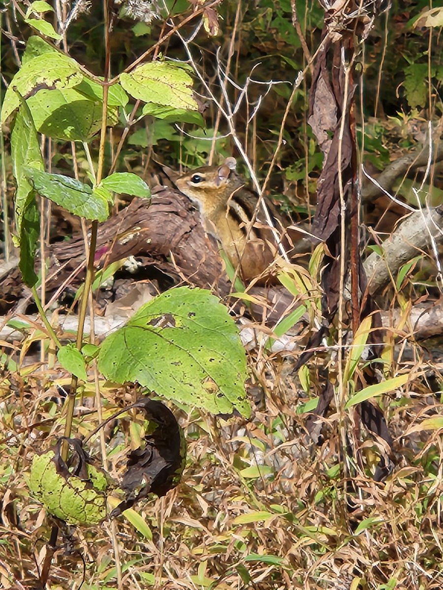 met a lil guy today