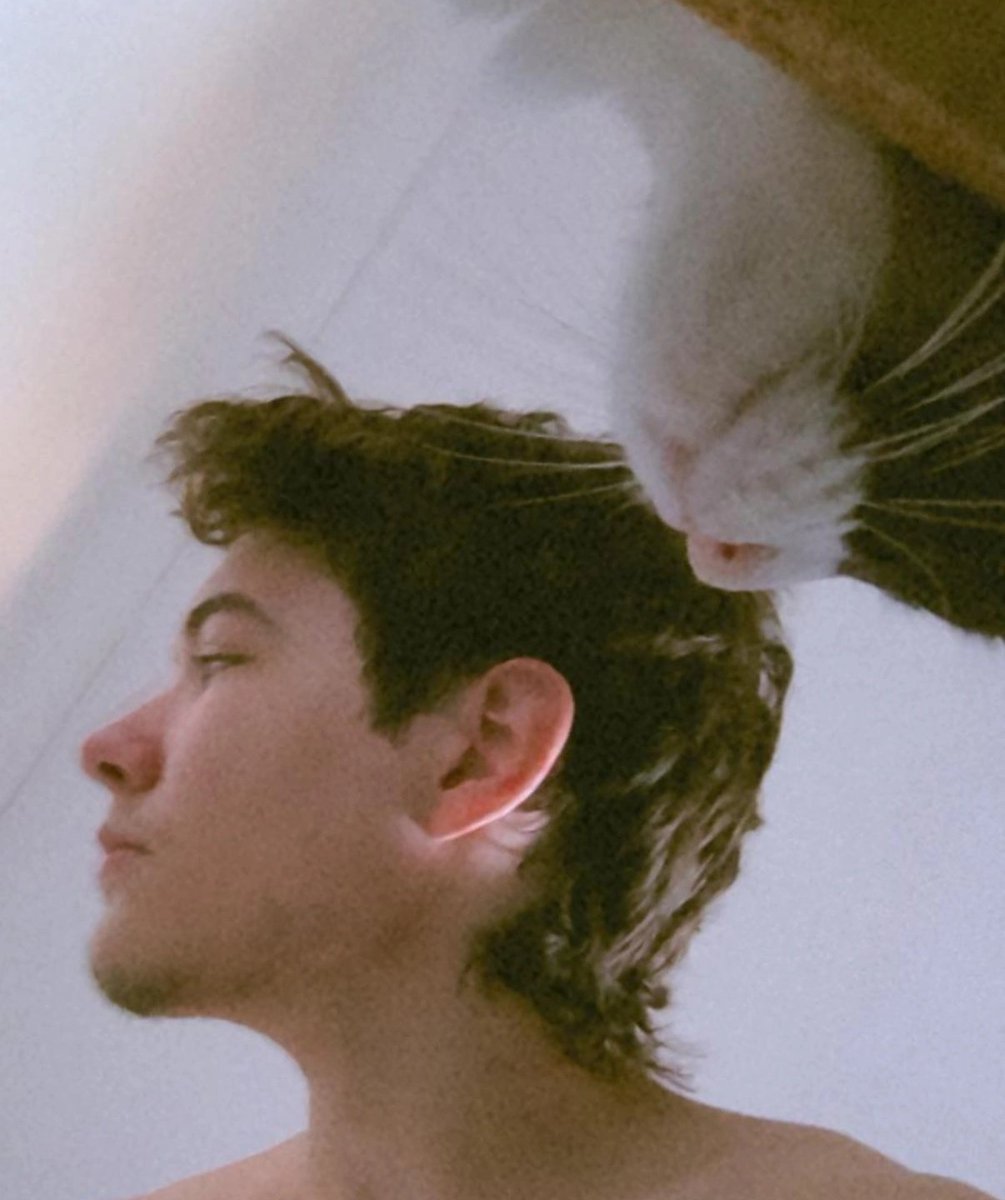 nothuun's tweet photo. icon vs user (quem é nothuun? gabriel ou gatinha lou?? descobra...) https://t.co/dpRQxvBPXt