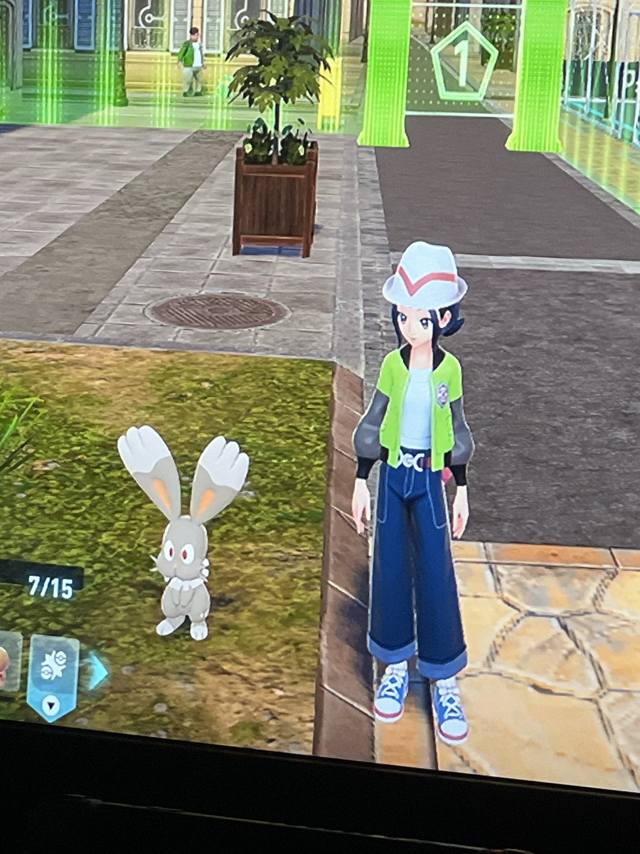 Spidran shiny hunt END!

#PokemonLeak