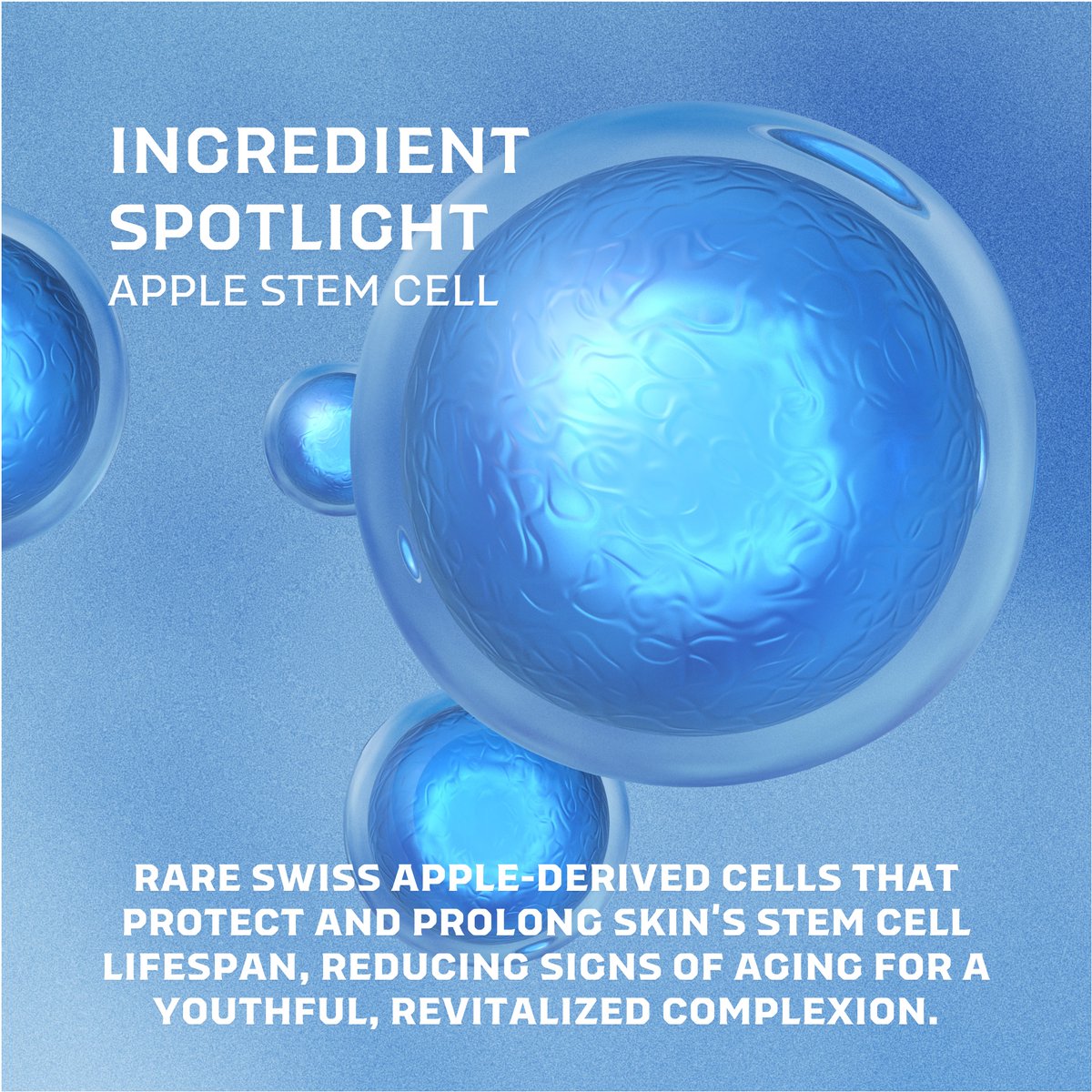 Imagine misting your face and watching fine lines fade while your skin drinks in hydration like a desert oasis. 

No greasy residue, just instant plumpness. 

SEVO's vegan, paraben-free formula harnesses earth's elite botanicals. 

It's not magic, it's biohacking your epidermis.