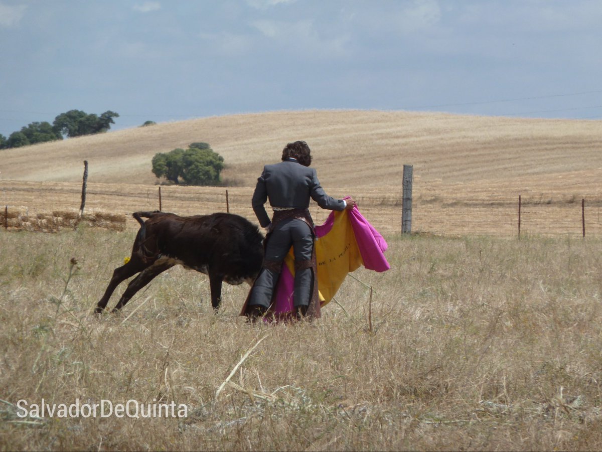 Tuve la suerte de coincidir en la época de D. José Antonio Morante Camacho.