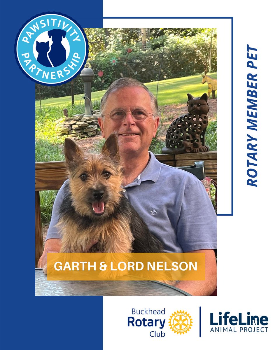🐾 Meet our next Rotary Member Pet! Lord Nelson is a 7-month-old Norwich Terrier, beloved companion of Garth &amp; Lori Peters. His breed starred in Best in Show and he comes from a line of Westminster winners. Nelson brings love, joy &amp; champion spirit to our Rotary family 💙