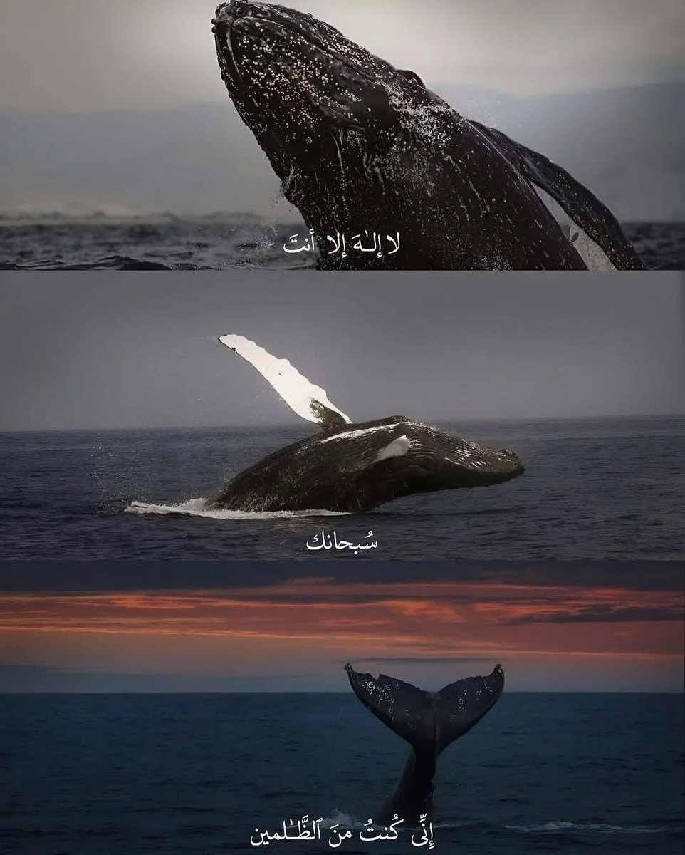 وحدة (@lonley_a9) on Twitter photo 