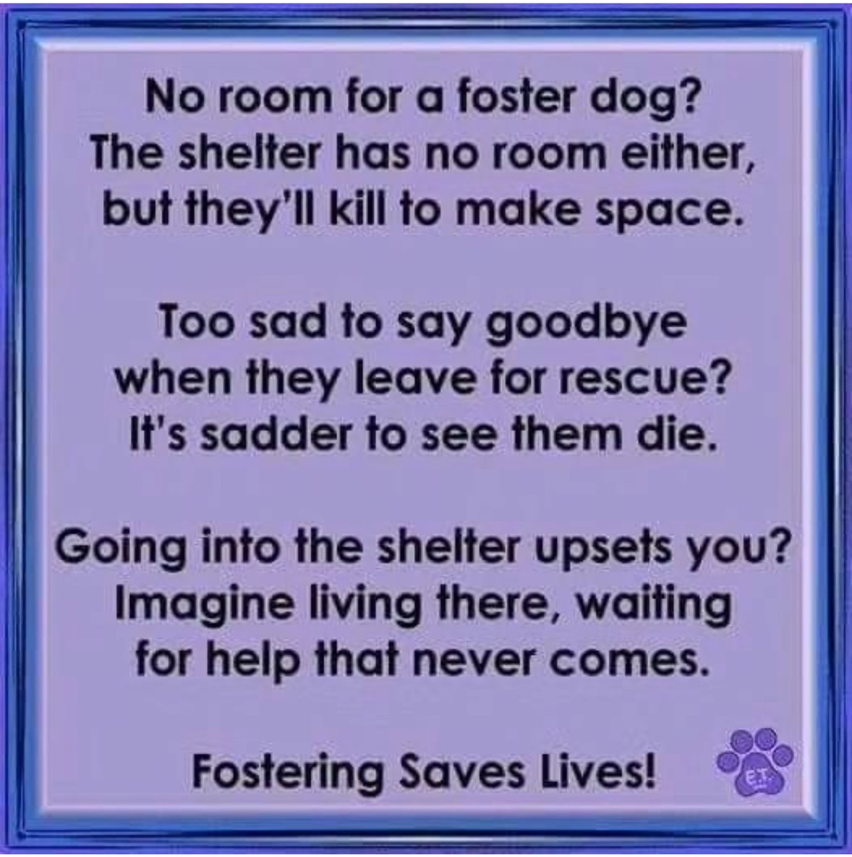 BeeDoDoobieDo's tweet image. what a happy girl🌸💮🌸 4yrs old is a great age for a first time dog owner. #SaveAShelterDog