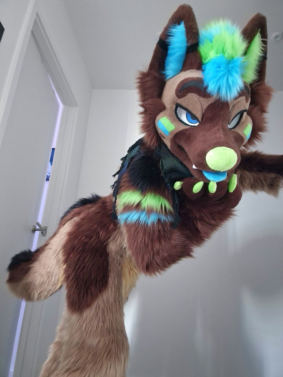 Shep_Dex's tweet image. Hotter than a con hotel room with no AC. 🥵💙💚