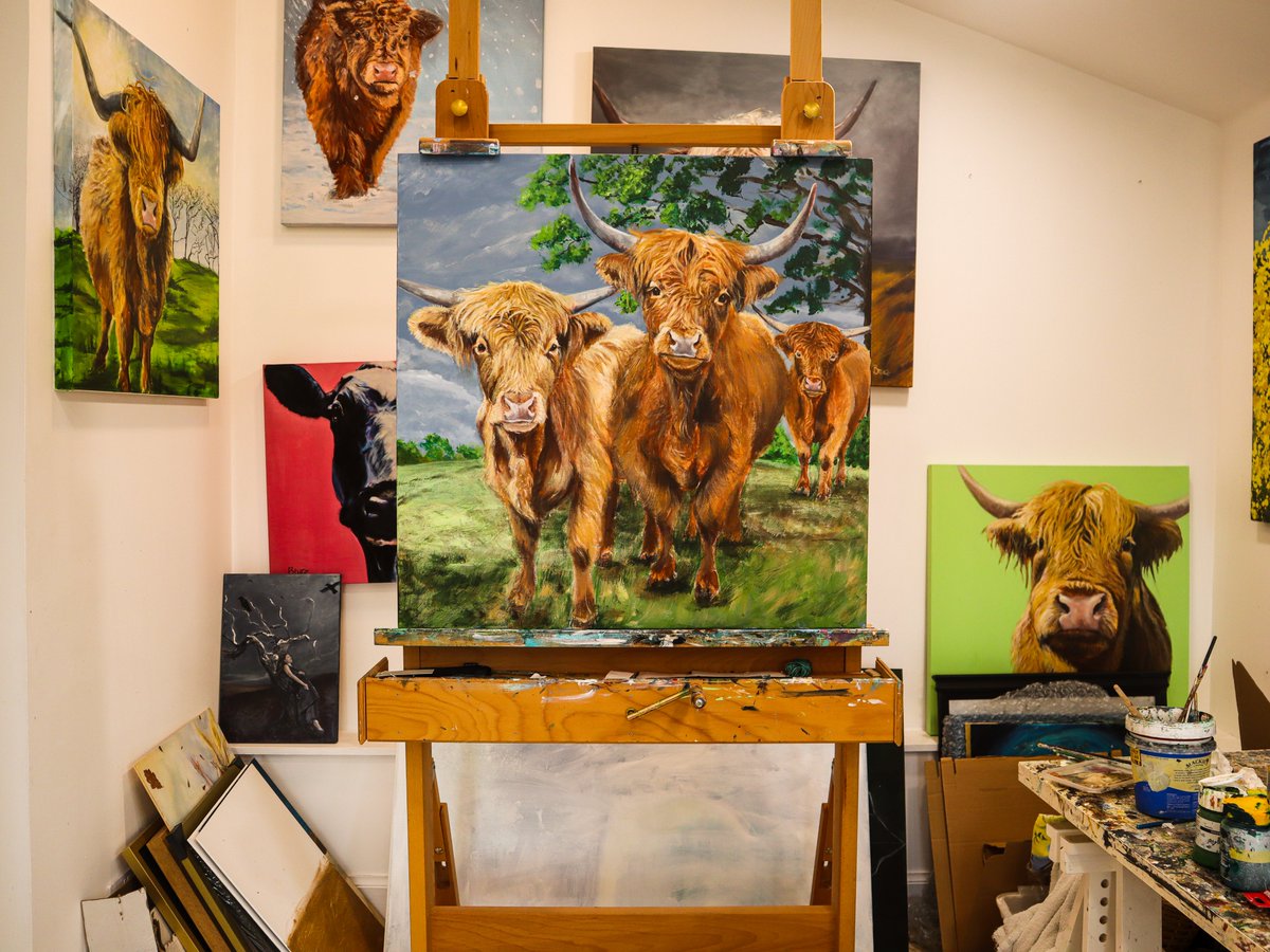 Fergus Bruce Richards tweet media