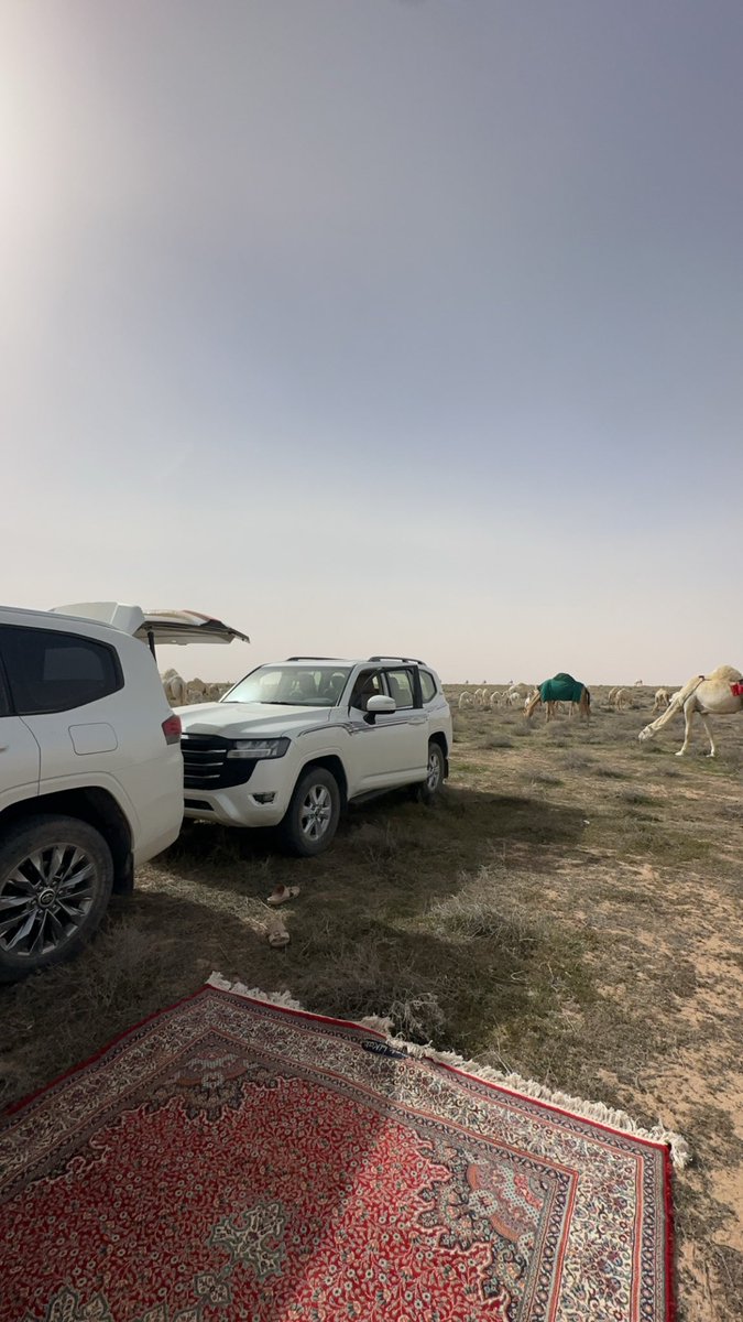 vlvlv15's tweet photo. وش عاد لو تزعل علي الدراويش
أنا بدويٍ راح يتبع هوى .. أبلـه 

علط الرقاب اللي وبرها عكاريش
لاربعت قلبي يزين الطرب لـه 

ننزل بها في منزلٍ مابعد نيش
روضٍ خضر عشبه خزامى وربله

في ليلةٍ ياتي مطرها رشاريش
هذا ربيع القلب عقبه وقبله https://t.co/wuZuDb0TFA