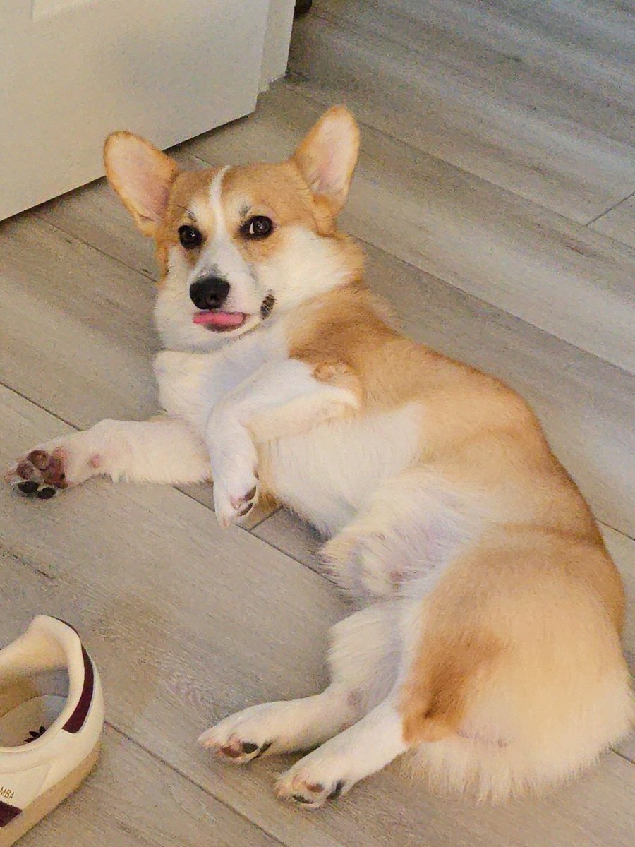 Don't stick your tongue out to me Oliver 🤣