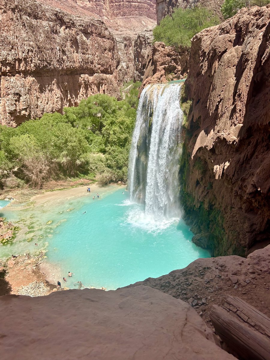 Couple more from Havasupai, because it was amazing!✨