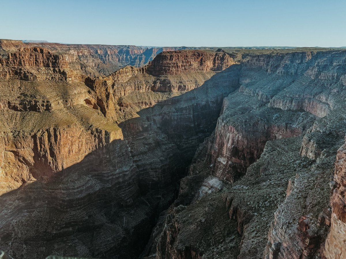 Mark Gibson Jr. tweet media