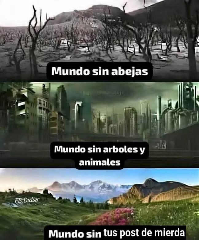 CesarJa92882598's tweet photo. @manuelsoteldo4 https://t.co/NiwhfCdjxf