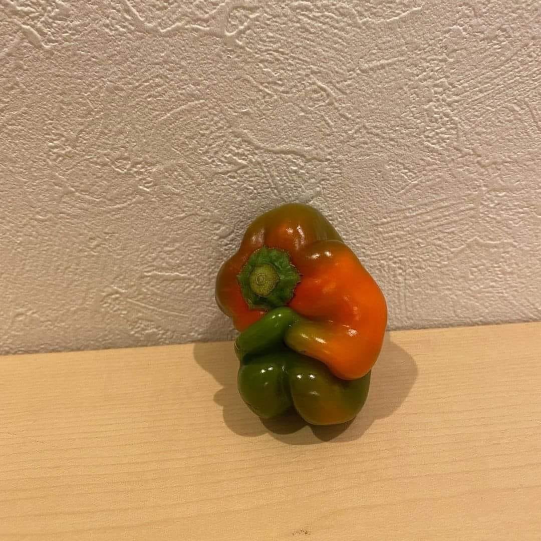 Intercepti0n tweet media