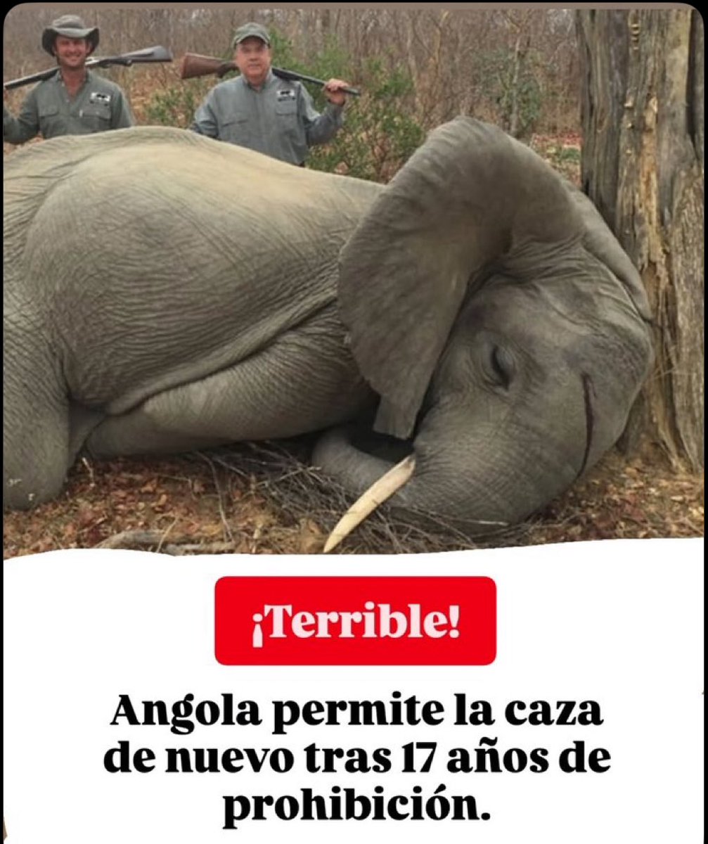 gaellycian's tweet photo. @ruben_prz estas son las caras nefastas de
estos cobardes capaces de asesinar a un ser JOVEN,HERMOSO Y VALIENTE. https://t.co/K0siWSGui0