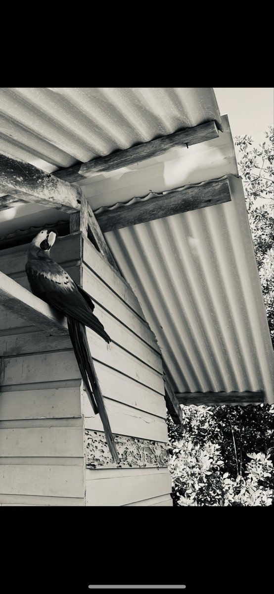 Love b&amp;w images but you’ve gotta see his colors.