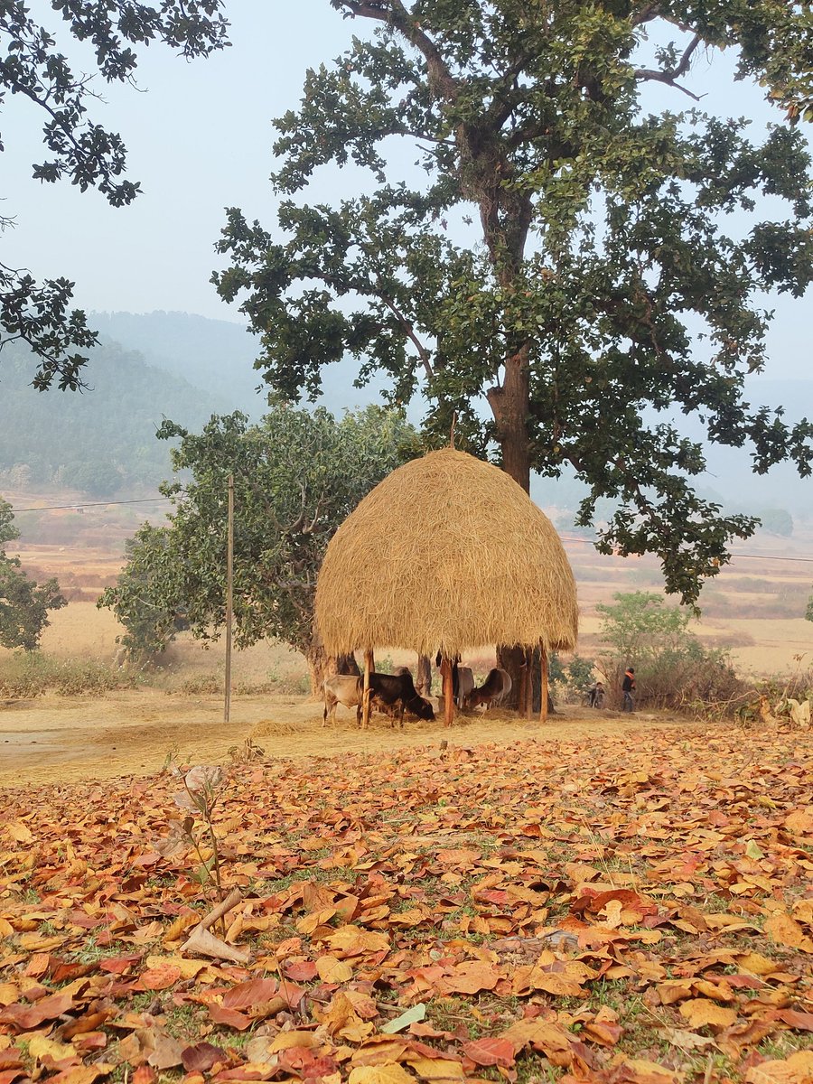 KomalMulkalwar's tweet photo. @AlongImna Somewhere on earth..... https://t.co/Yt77ChTxxh