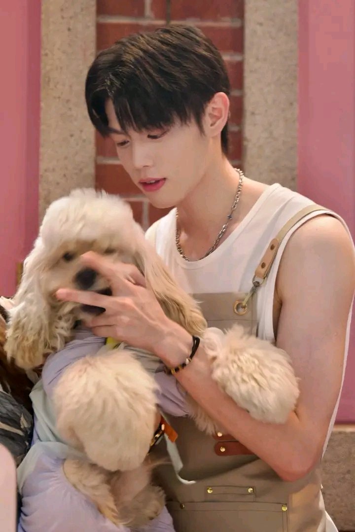 kind_dylan1's tweet photo. So precious 🥰 https://t.co/6XeRbO0VOg
