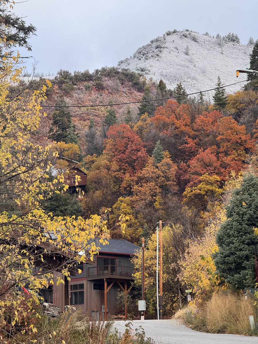 JasonSynaptic's tweet image. Growing up in a country where there wasn’t much of a season change…it never gets old! Winter is almost here in the ‘hood.