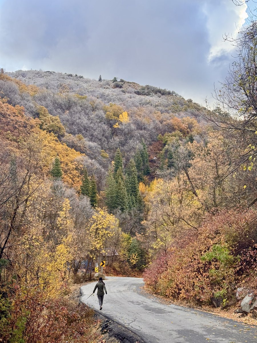 JasonSynaptic's tweet image. Growing up in a country where there wasn’t much of a season change…it never gets old! Winter is almost here in the ‘hood.