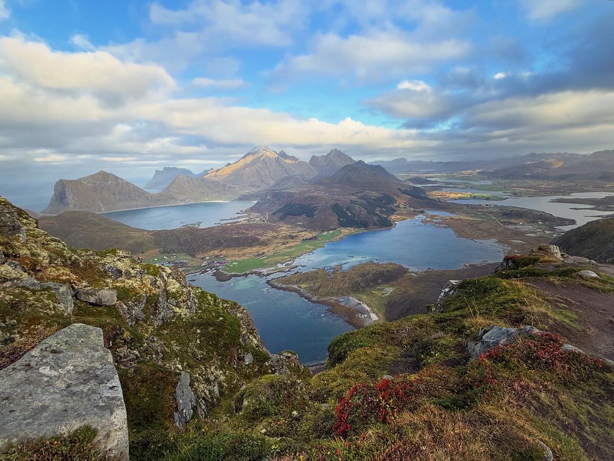 Carlos Velasco tweet media